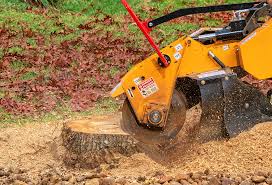Best Tree Risk Assessment  in Buhl, ID